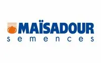 Семена подсолнечника МАС 87IR