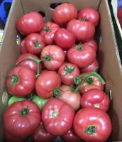 Томат ПИНК МАРГАРИ F1 (500 семян) Atakama Seeds