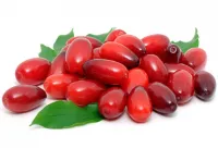 Кизил садовый отборный